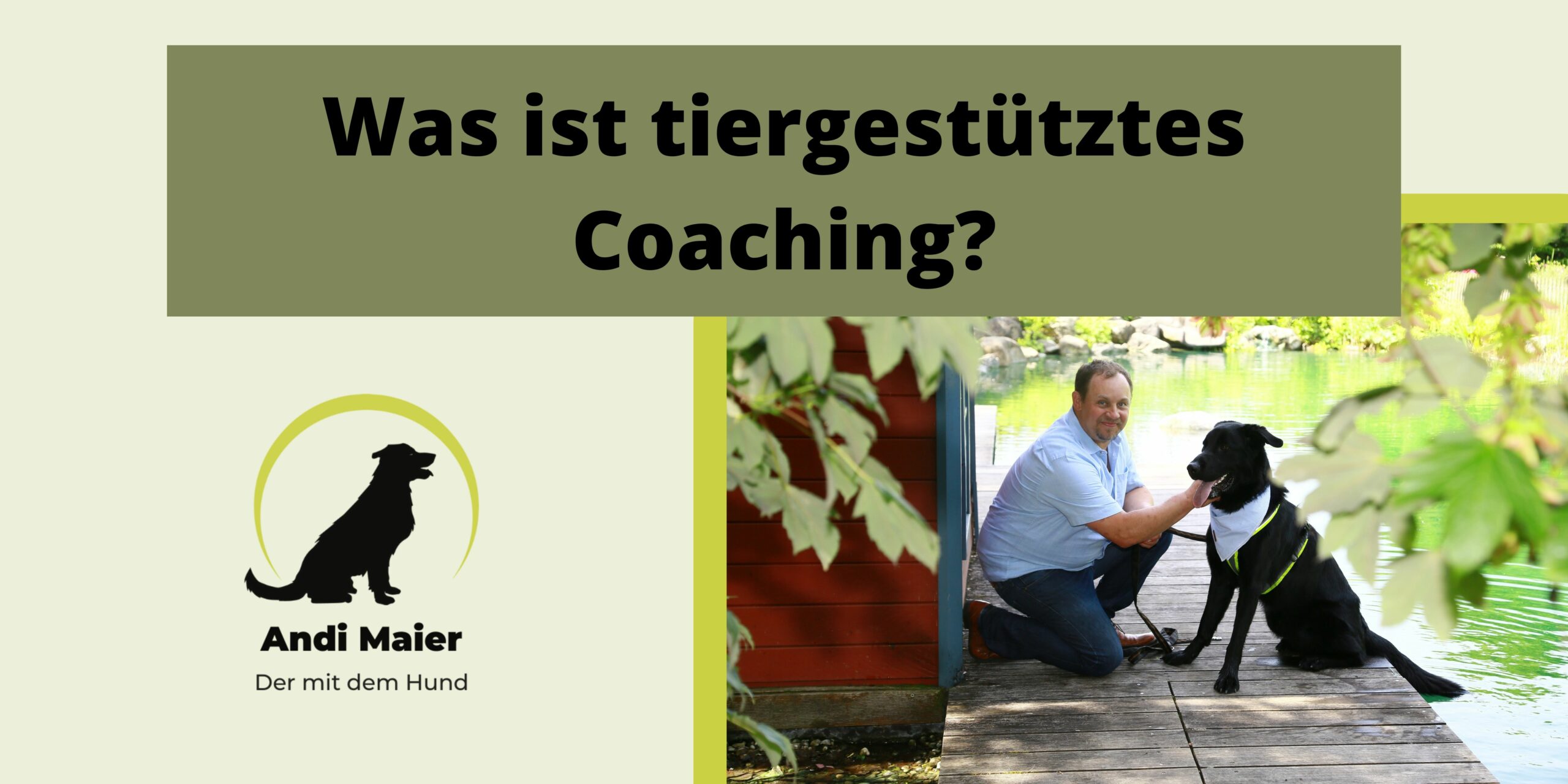 Mehr über den Artikel erfahren Was ist tiergestütztes Coaching?