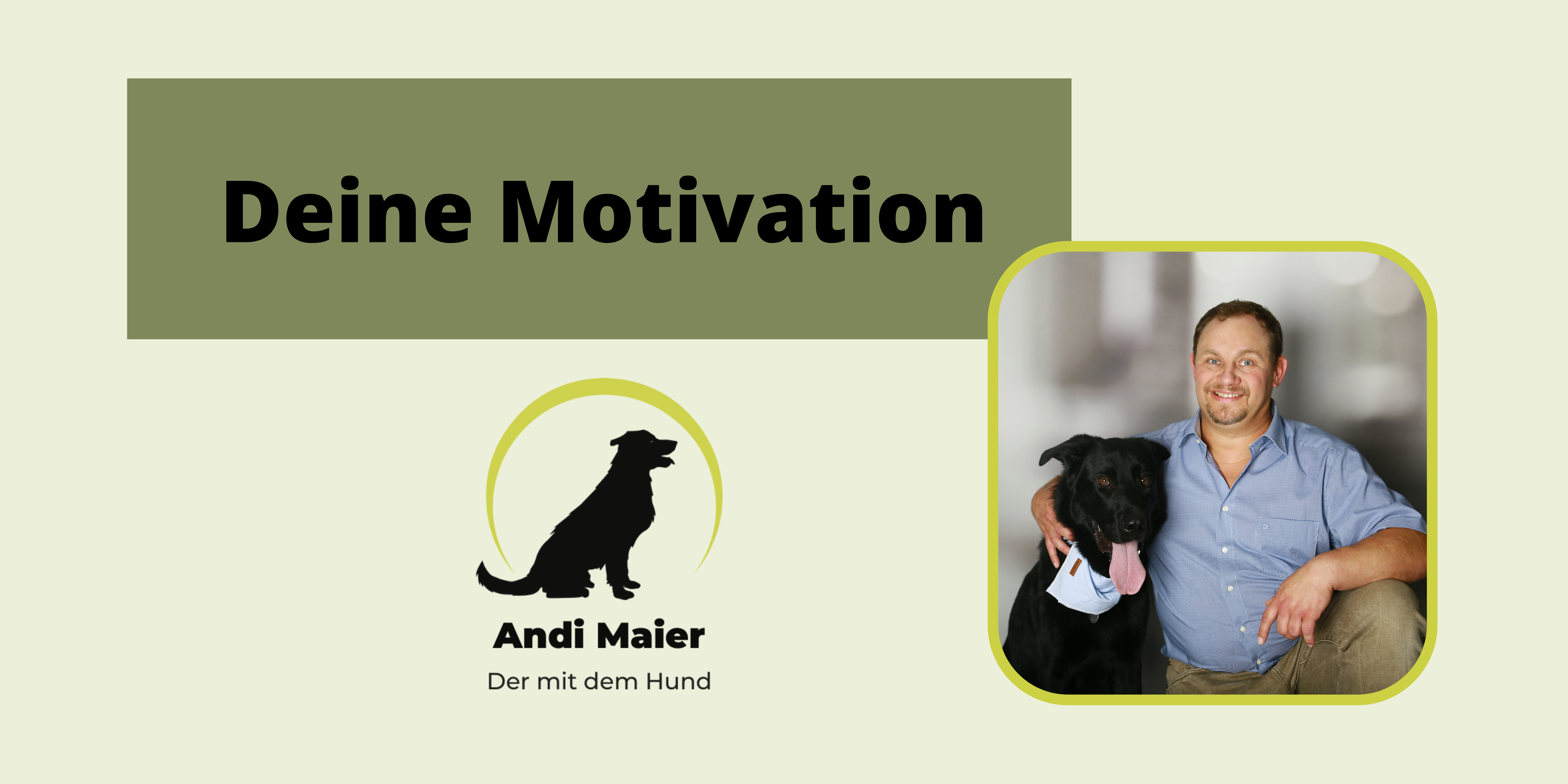 Mehr über den Artikel erfahren Deine Motivation für ein tiergestütztes Coaching