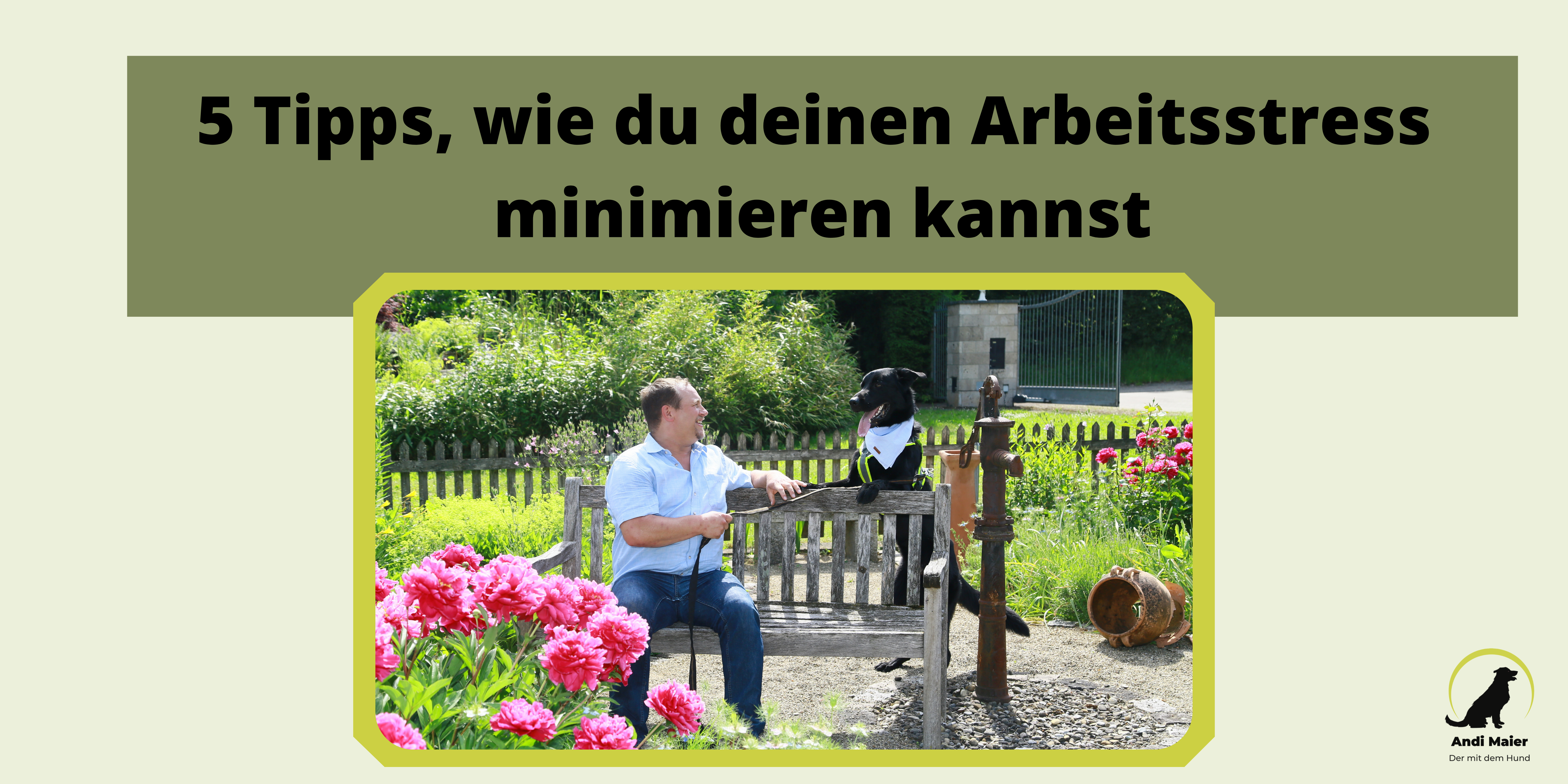 Mehr über den Artikel erfahren 5 Tipps, wie du deinen eigenen Arbeitsstress minimieren kannst