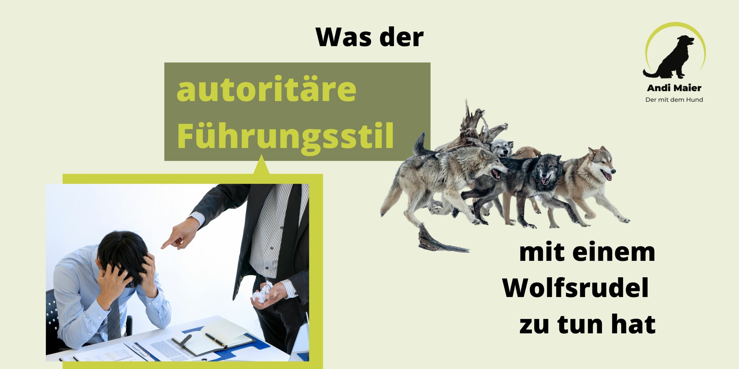 Mehr über den Artikel erfahren Vom autoritären Führungsstil und dem Alpha-Wolf