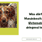 Was dürfen Hundebesitzer und Unternehmer lernen?