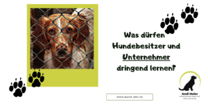 Mehr über den Artikel erfahren Was dürfen Hundebesitzer und Unternehmer lernen?